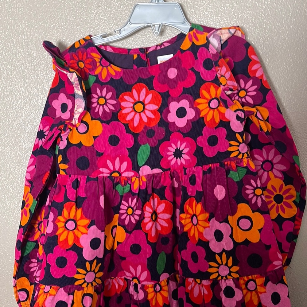 Gymboree girls dress. The colors are among Corduroy ruffles